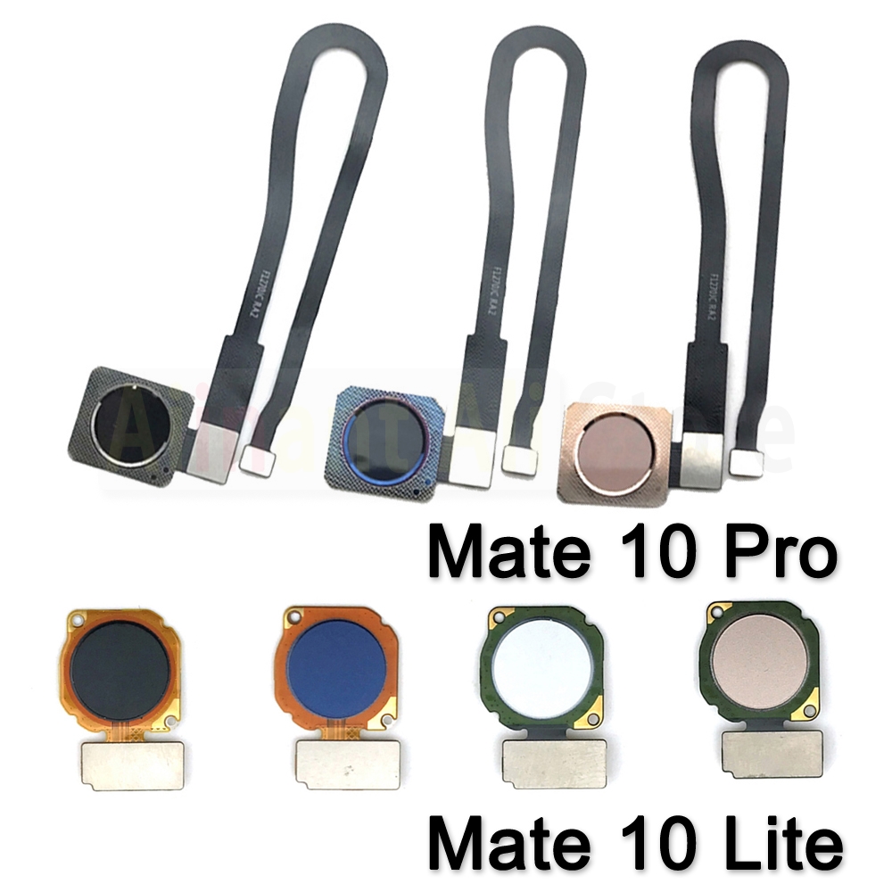 AiinAnt przycisk Home z powrot – Fingerprint Cable Flex recenzja i cena